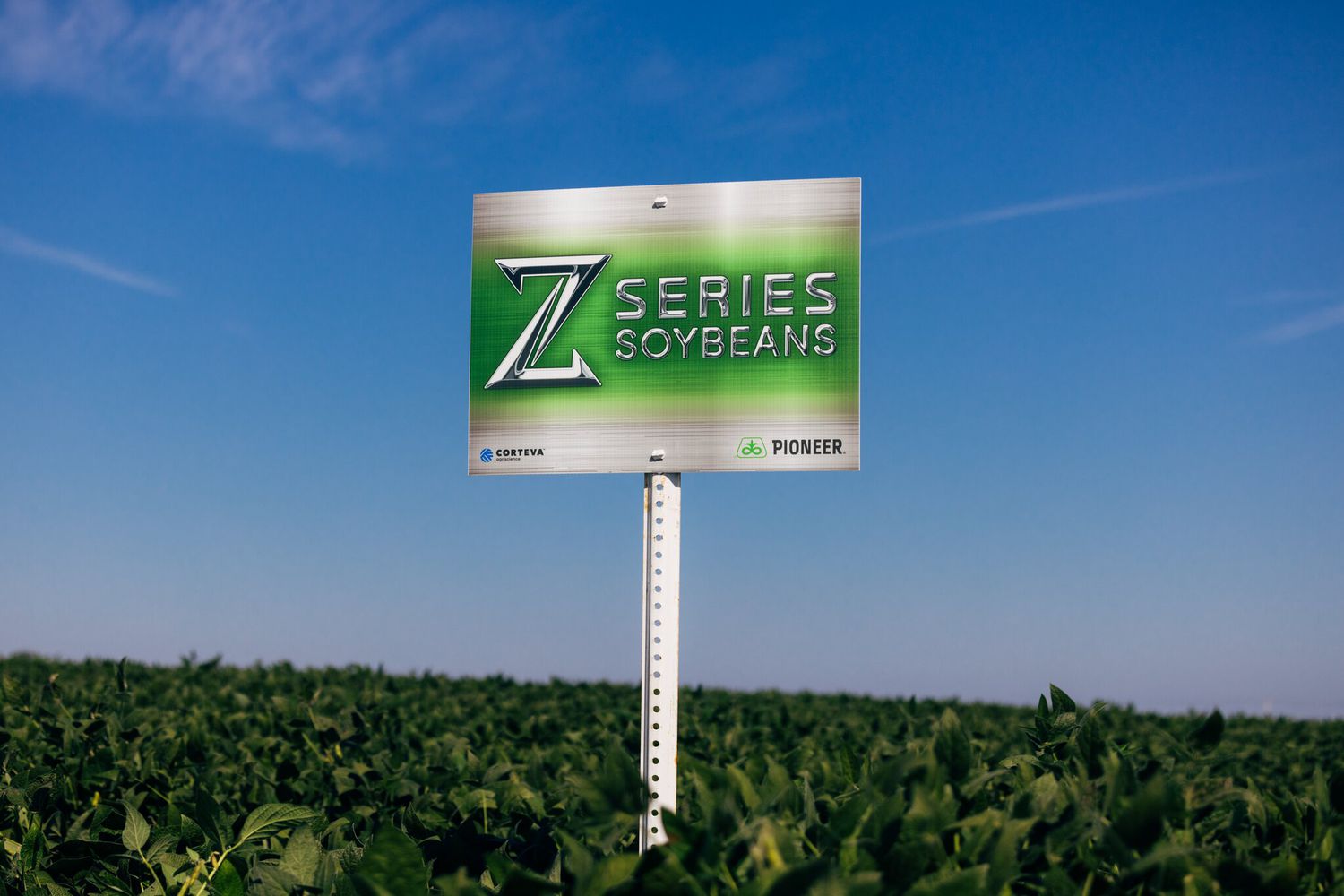 Z-Series soybean sign 