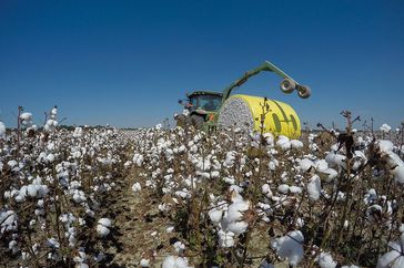 Tractor picks up round bale of cotton