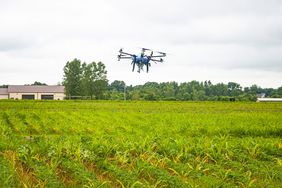 Drone scouting weeds