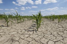 East-Central Brazil dry trends raise concerns for second corn crop