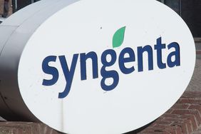 syngenta