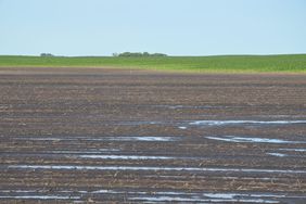 In some rain-soaked fields, prevented planting insurance coverage may be the only option for farmers.