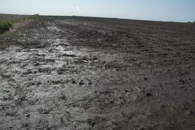 Soggy and wet soils are creating worries about nitrogen loss.