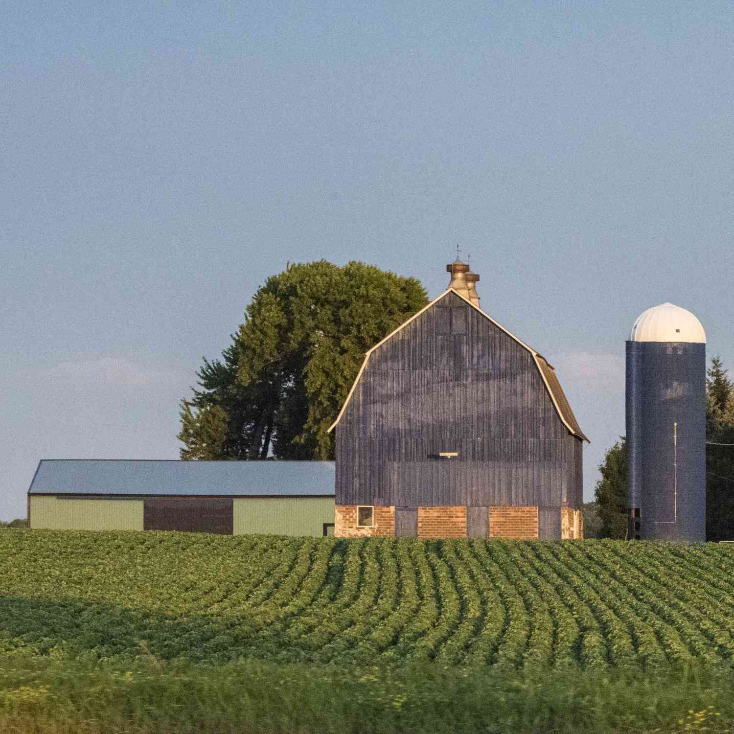 Farm-Blue-Barn-USDA