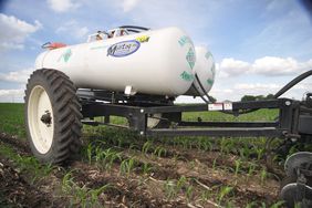 fertilizer in corn fields