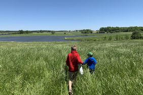 Field on First Fruits farm