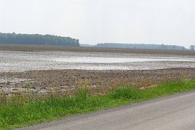 A flooded field in summer.