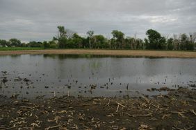 A flooded field.