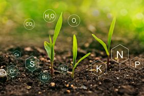 illustration of the role of nutrients in soil