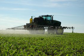 Spraying soybeans