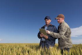 two farmers using a tablet while standing in a field