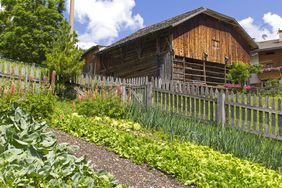 A small farm with vegetables growing in a garden surrounded by a picket fence.