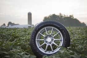 A Goodyear car tire sits in a field of green soybeans