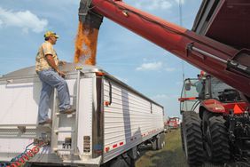 Grain cart image from Sep 19 MI