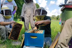 Adam Ingrao teaching beekeeping skills to veterans