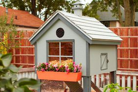 A finished chicken coop