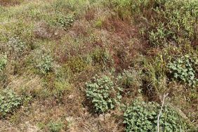 a dry creek-bed in kansas