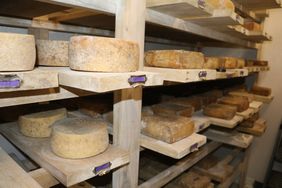 cheese room