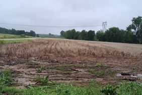 unplanted field 