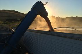 harvest-corn-unloading