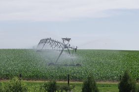 Irrigation-Corn-Field