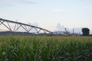 IrrigationCornField-WideShot