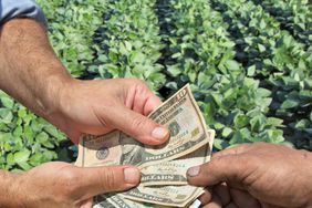 Farmers exchanging money in a soybean field.