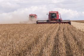 brazil-soybean-harvest-1