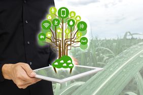 A farmer in a field holding a tablet, illustrating smart farming.