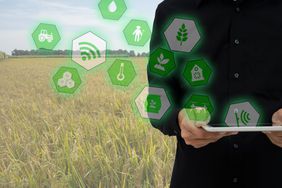 Smart farming showing how technology helps farmers make better decisions.