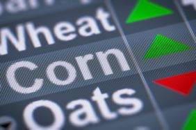 corn-wheat-price