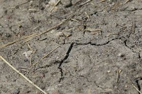 Dry, cracked soil with crop residue in Iowa