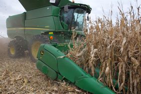 A medium shot of a John Deere combine harvesting corn.