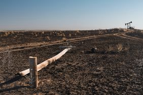 a photo of the desolation left by 2024 texas wildfires