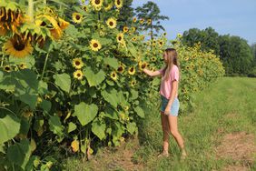 Kate Honeycutt with sunflowers