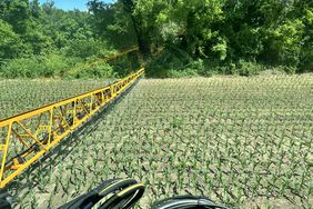 A yellow spray boom stretched over a field of corn in North Carolina on a sunny day