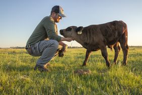 man petting calf