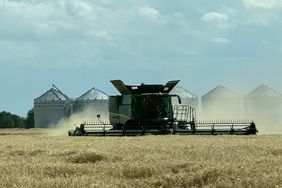 Combine harvesting wheat with grain bins in background