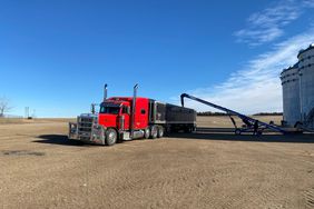 Red semi filling with grain