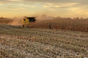 Lee Lubbers harvesting corn