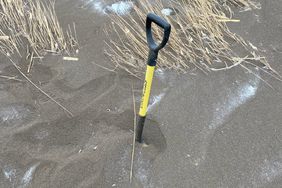 Top soil drifts on Lee Lubbers' South Dakota farm