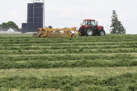 A tractor in an alfalfa field.