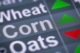 Corn and soybeans trade higher early | Friday, October 8, 2021