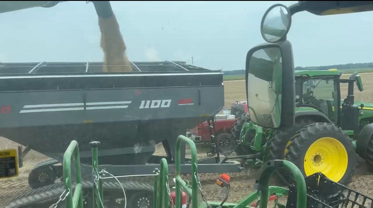 Matt Miles fills a gray grain cart with harvested soybeans