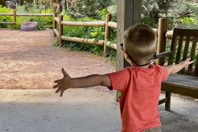 A small boy stands in front of a green dinosaur.