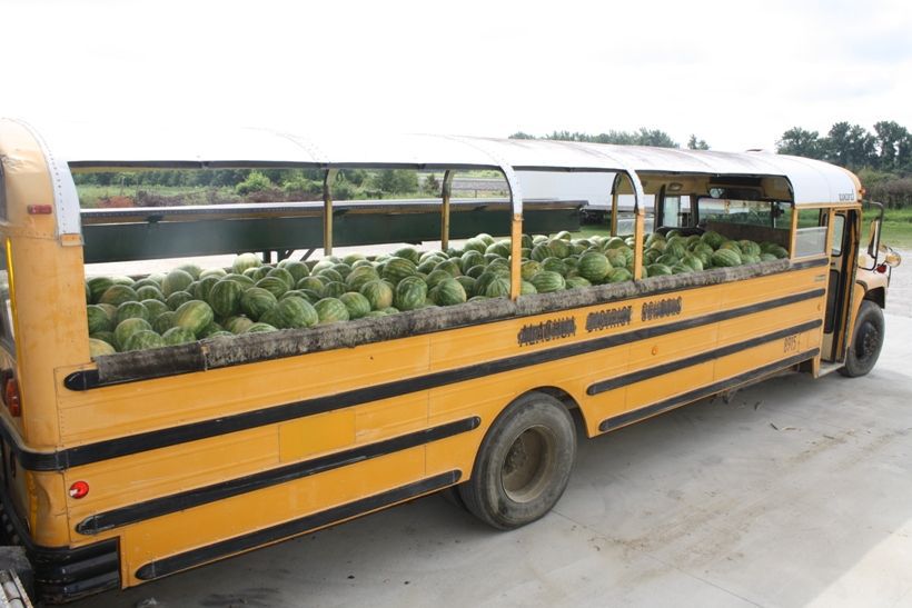 school bus carrying watermelon