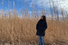 Miscanthus field