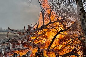 Tree branches and sticks on fire