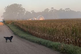 Jerry Nelson's dog takes a stroll on a foggy farm