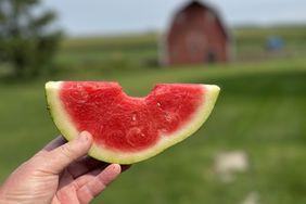 Watermelon slice 